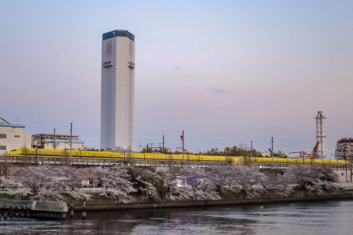 投稿写真：桜並木とドクターイエロー全７両