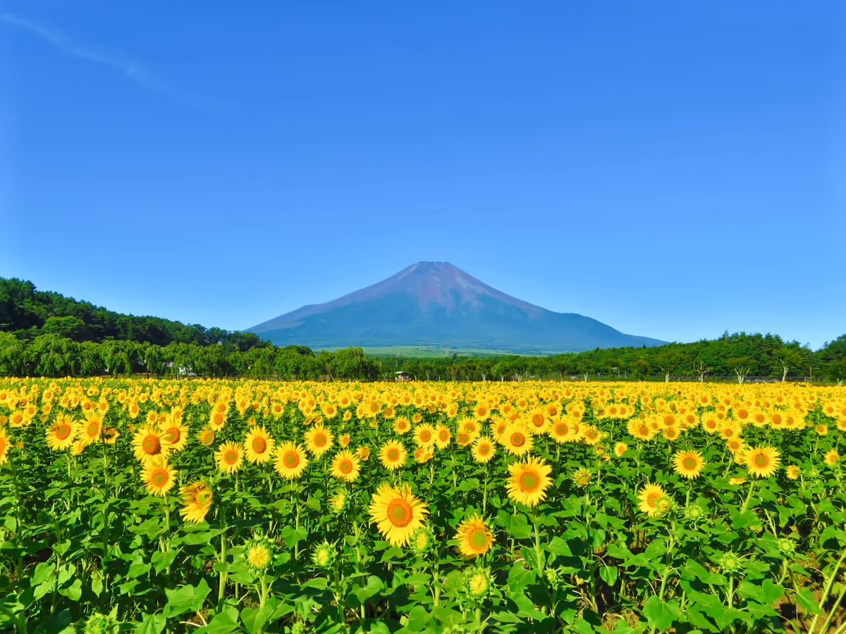 伊藤 和平さんの投稿写真