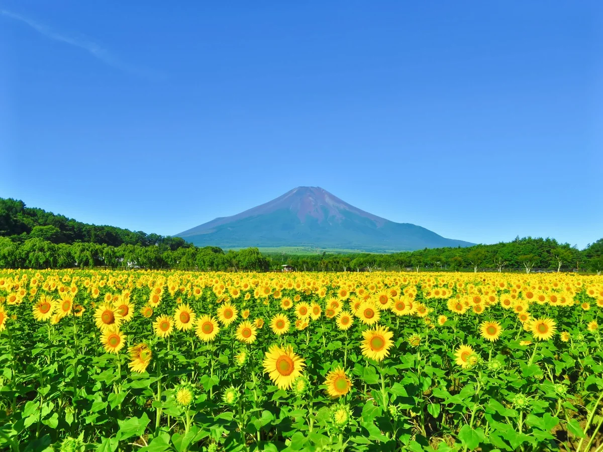 伊藤 和平さんの投稿写真