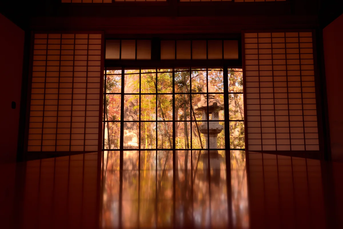 投稿写真：卓上の彩