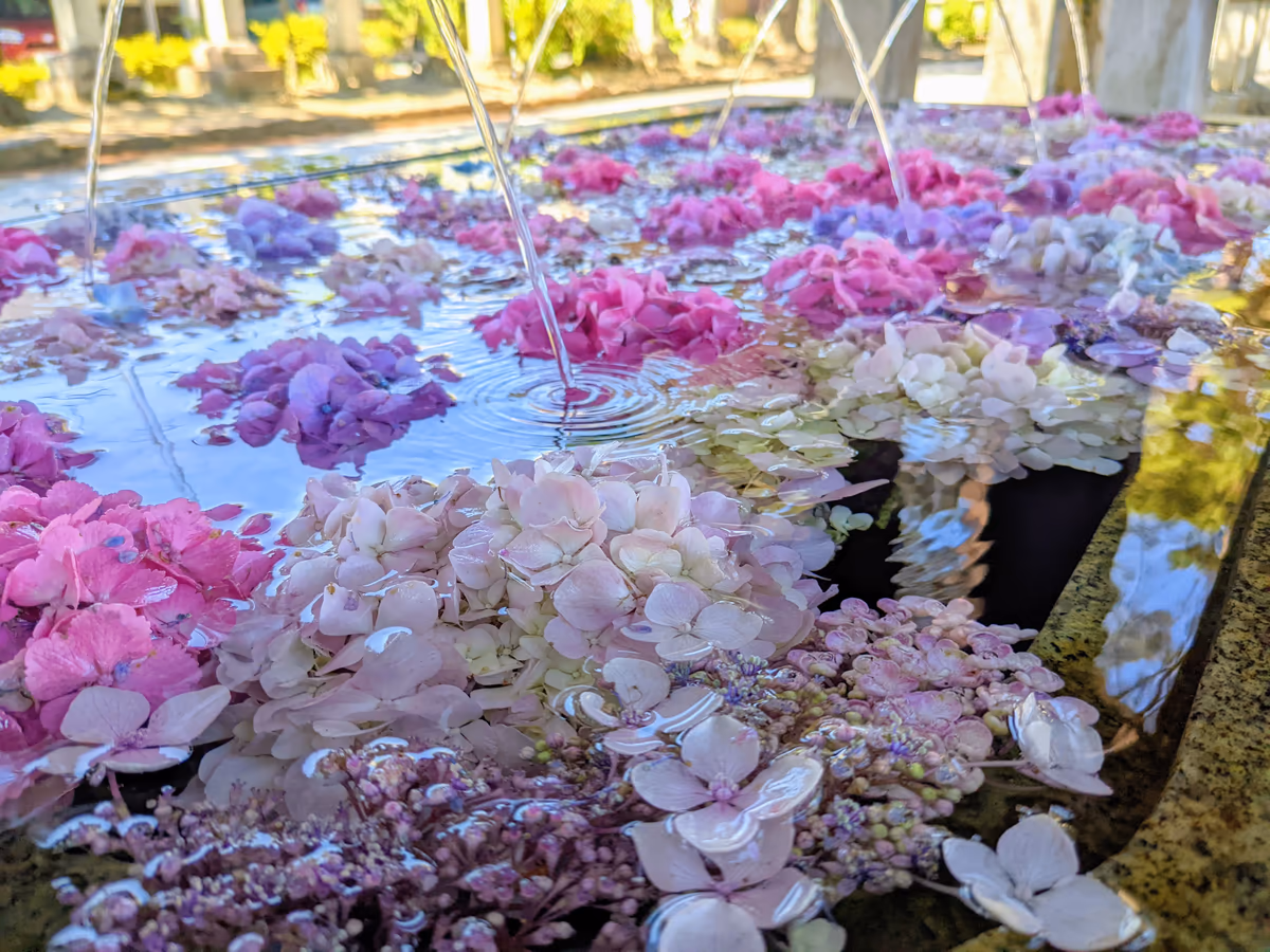 投稿写真：長濱八幡宮の花手水