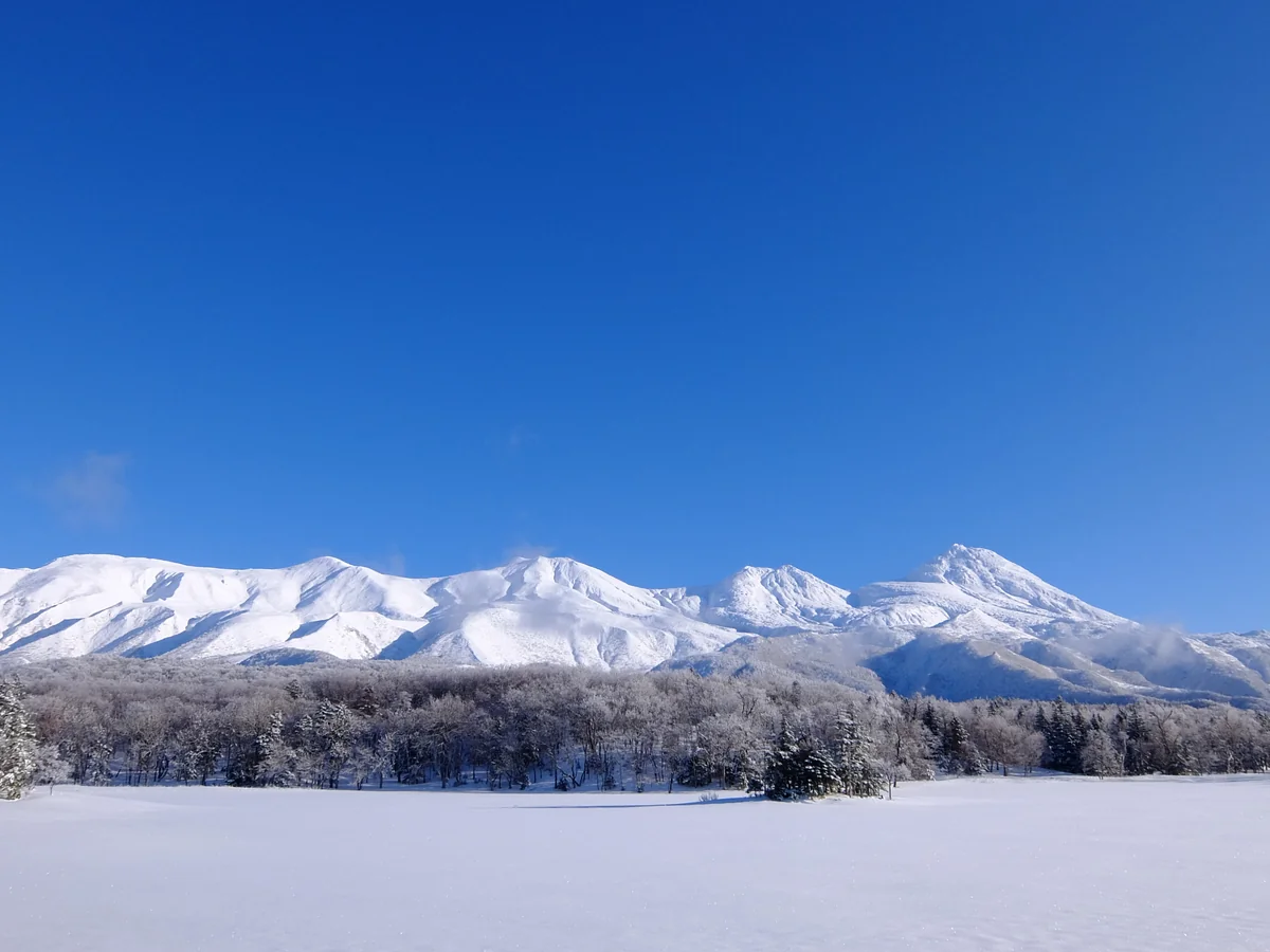 投稿写真：雪原が湖面、知床五湖。