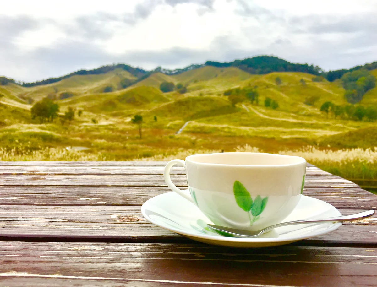 投稿写真：砥峰高原