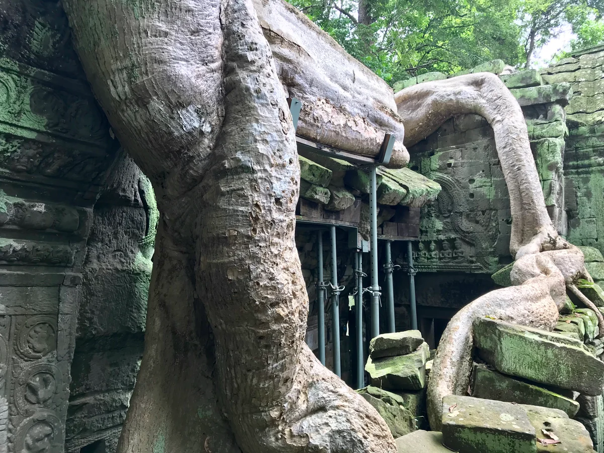 投稿写真：タ・プローム