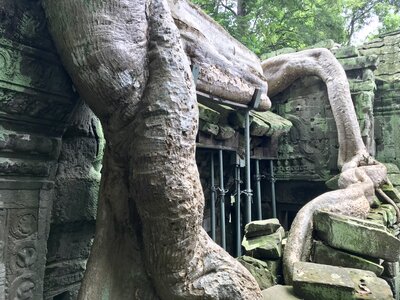  | 絶景事典