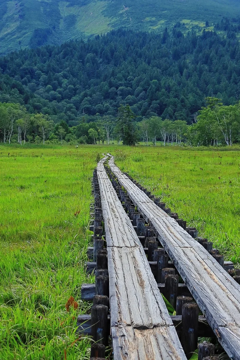 投稿写真：夏の尾瀬ヶ原