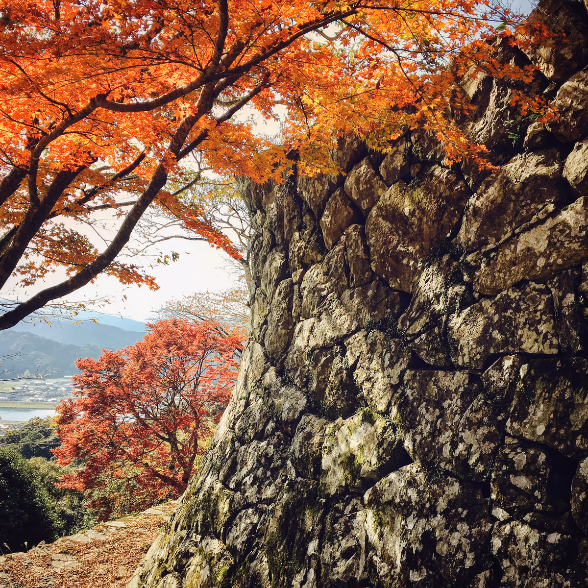 投稿写真：佐伯城