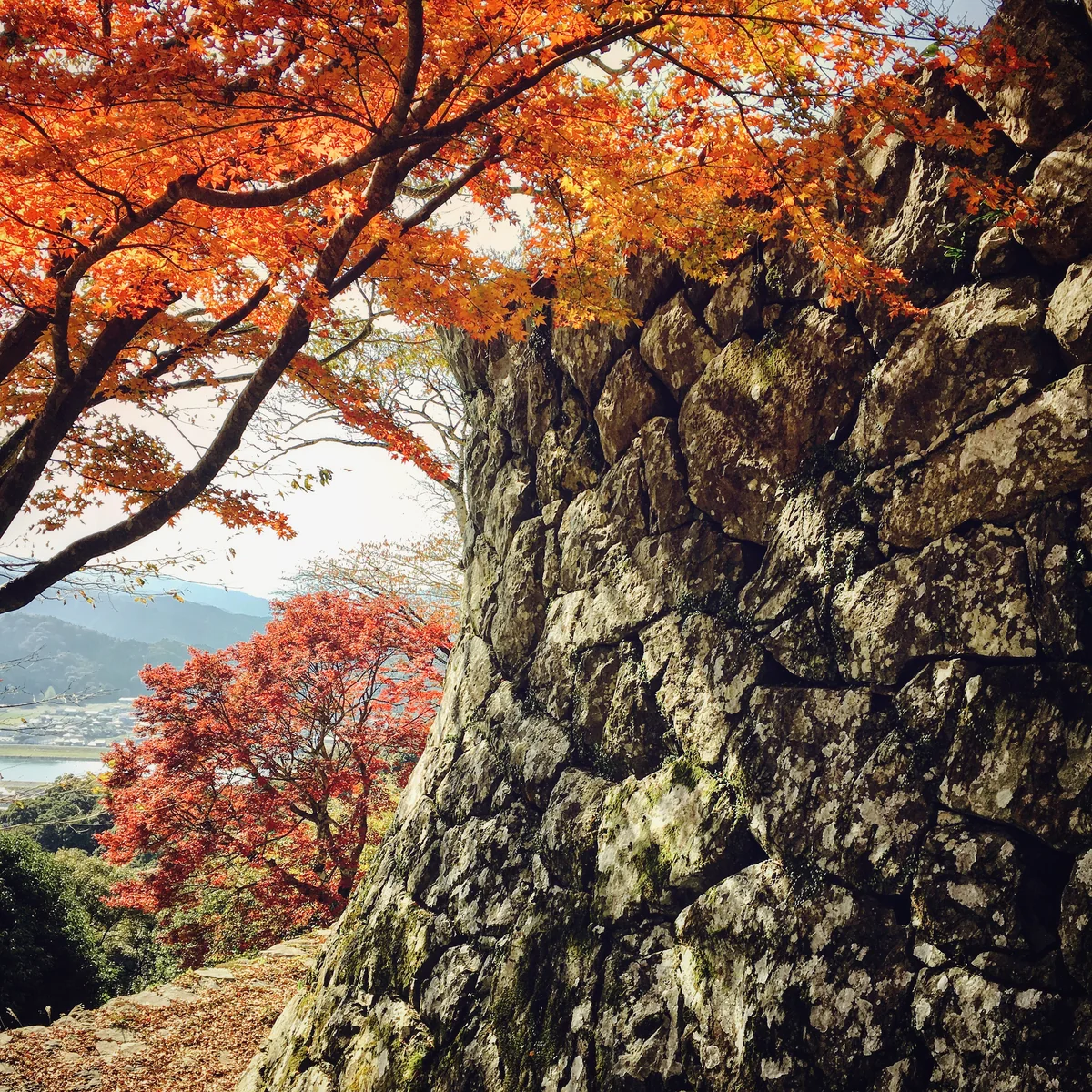 投稿写真：佐伯城