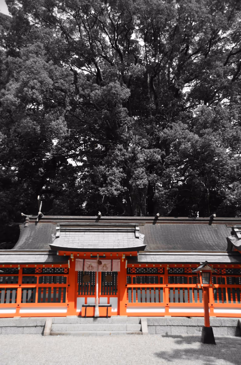 投稿写真：赤の印象