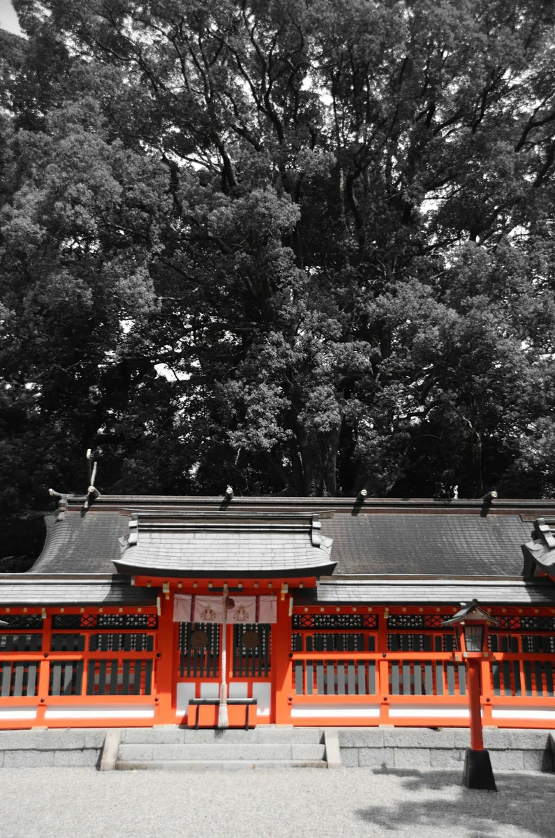 投稿写真：赤の印象