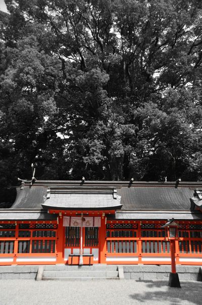  | 絶景事典