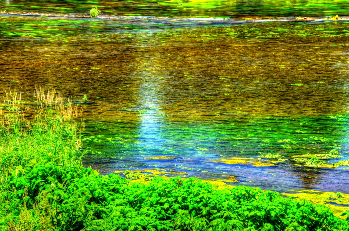 投稿写真：清流柿田川