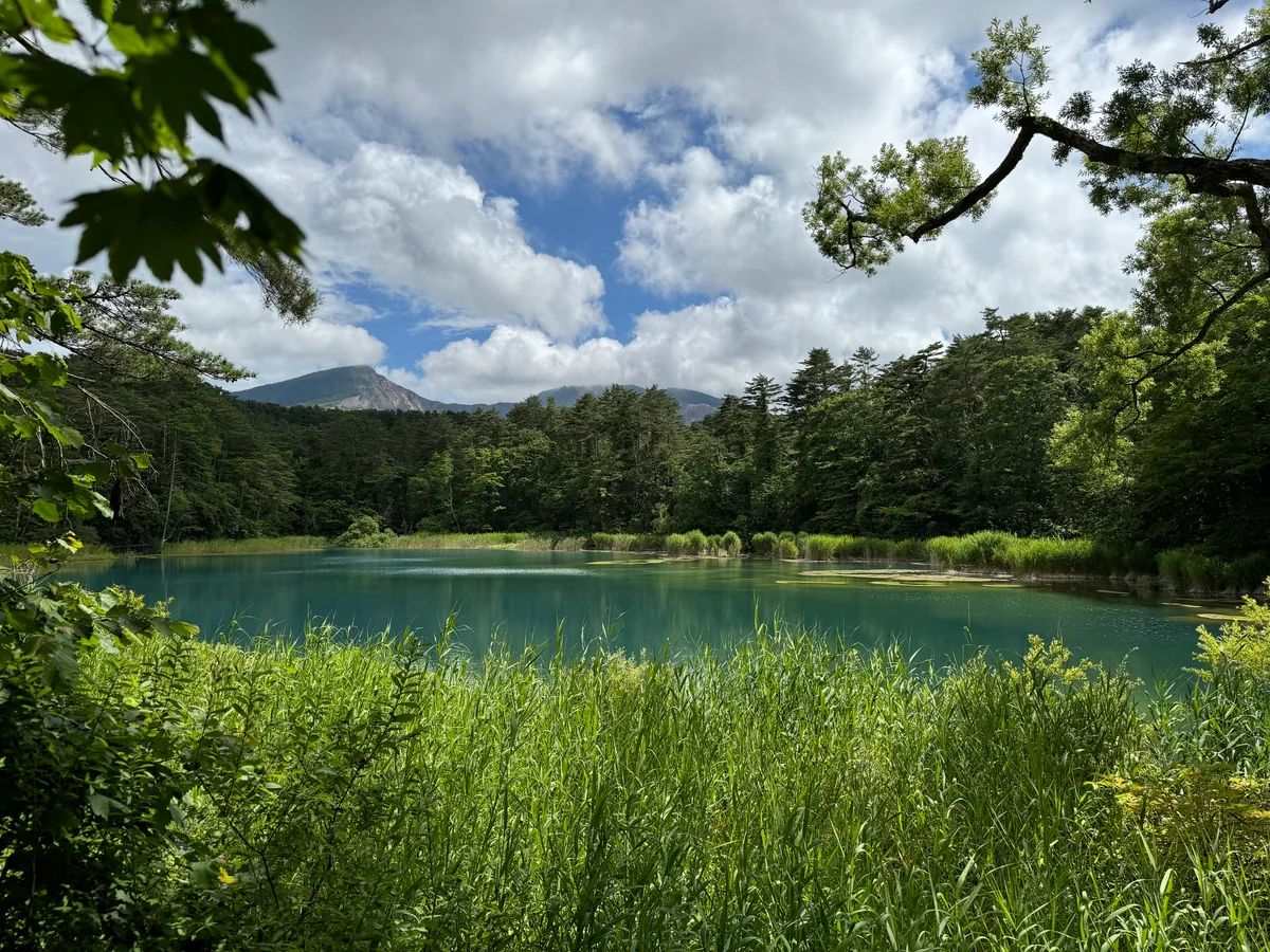 投稿写真：五色沼