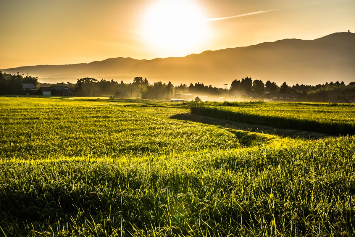 ガシマさんの投稿写真