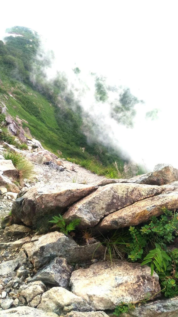 投稿写真：長野県白馬八方尾根自然研究路