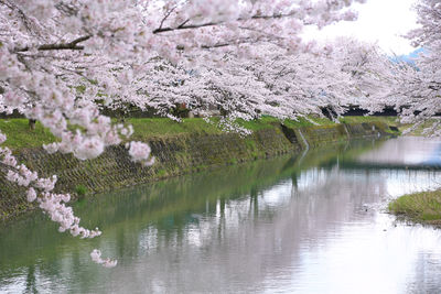  | 絶景事典
