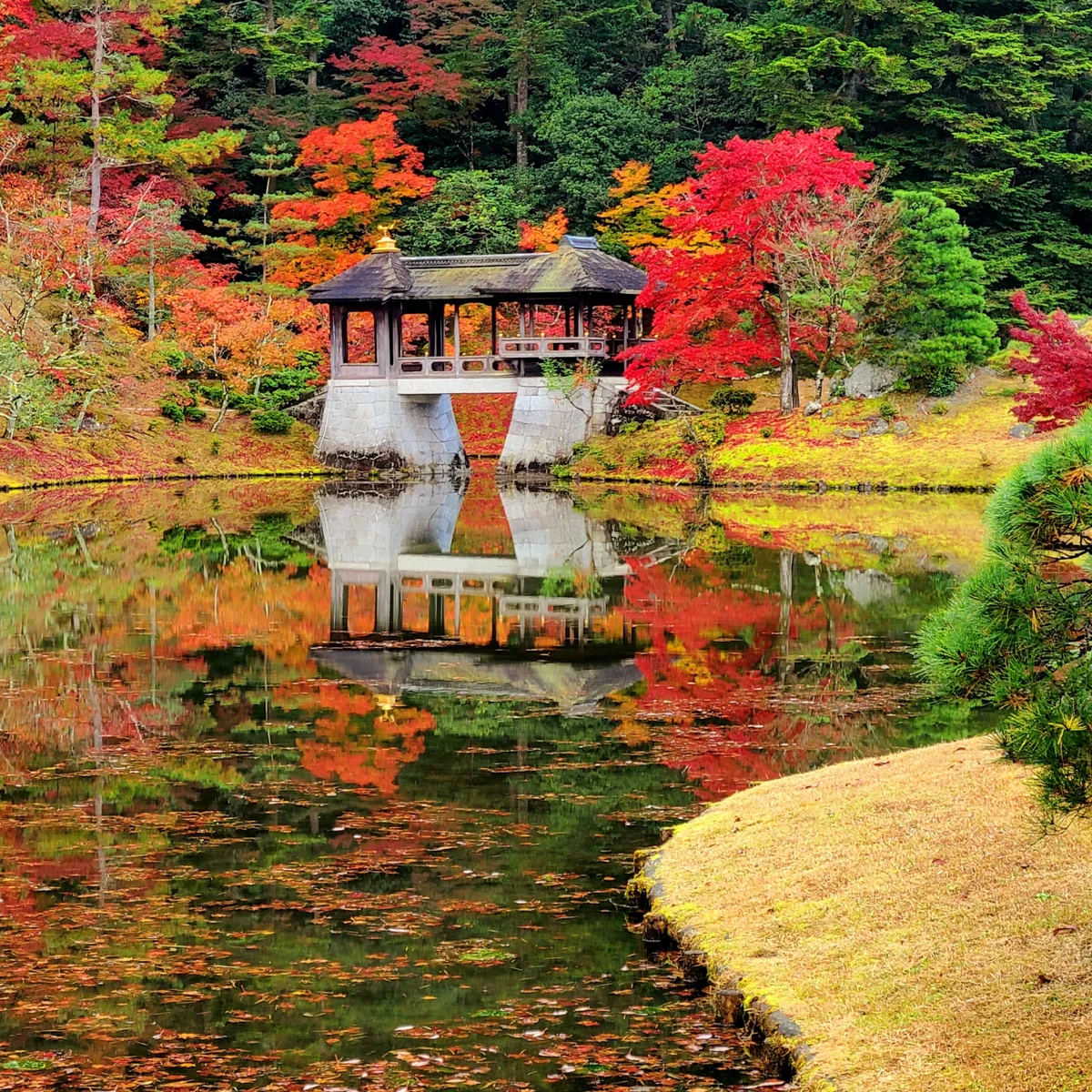 投稿写真：修学院離宮