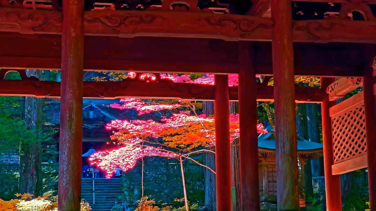 投稿写真：紅葉に染まる山門@光前寺