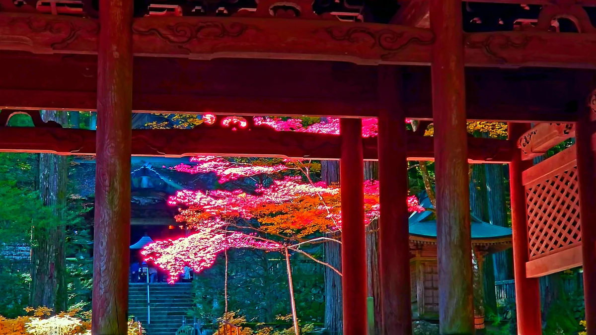 投稿写真：紅葉に染まる山門@光前寺