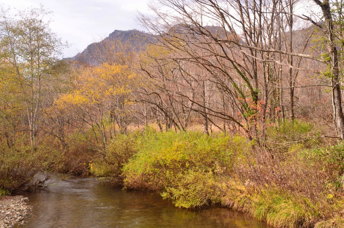 投稿写真：戸隠　秋の流れ