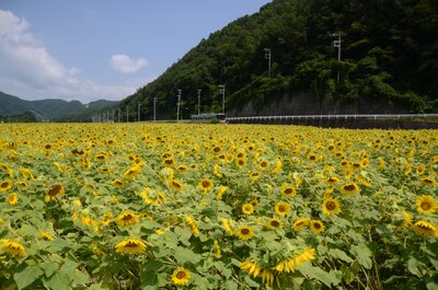 | 絶景事典