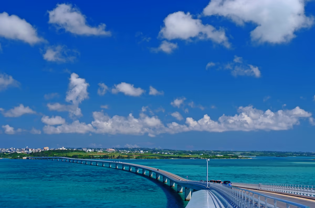 投稿写真：希望の橋、明日への道