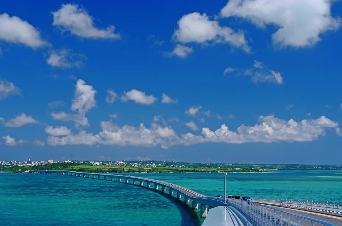 投稿写真：希望の橋、明日への道