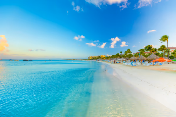 投稿：Aruba