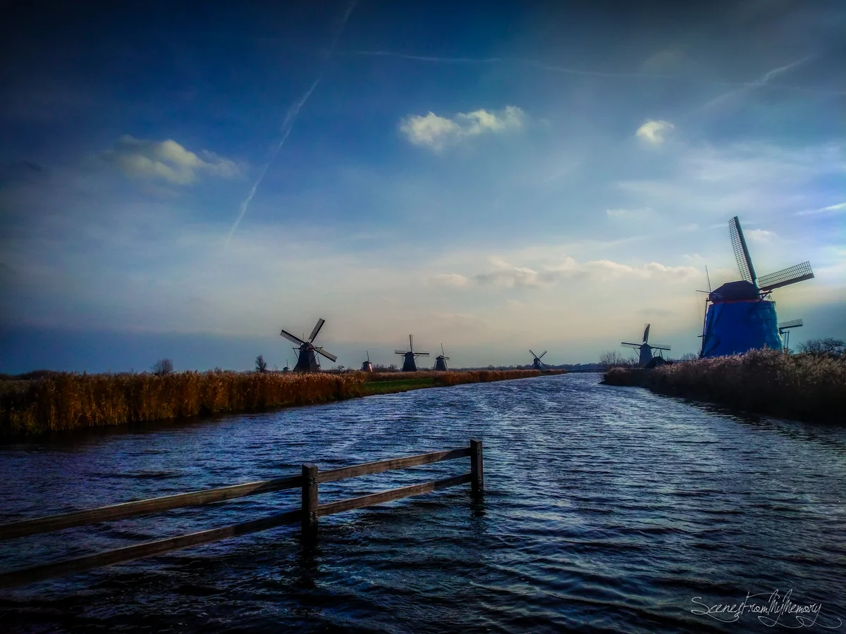 投稿写真：Windmills in the twilight