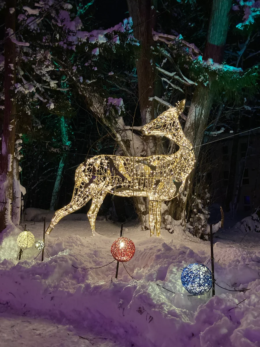 投稿写真：十和田湖のイベント