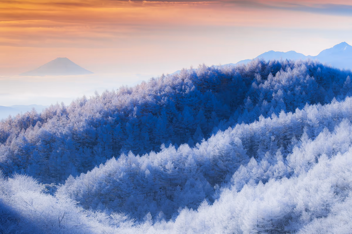 投稿写真：霧氷と富士