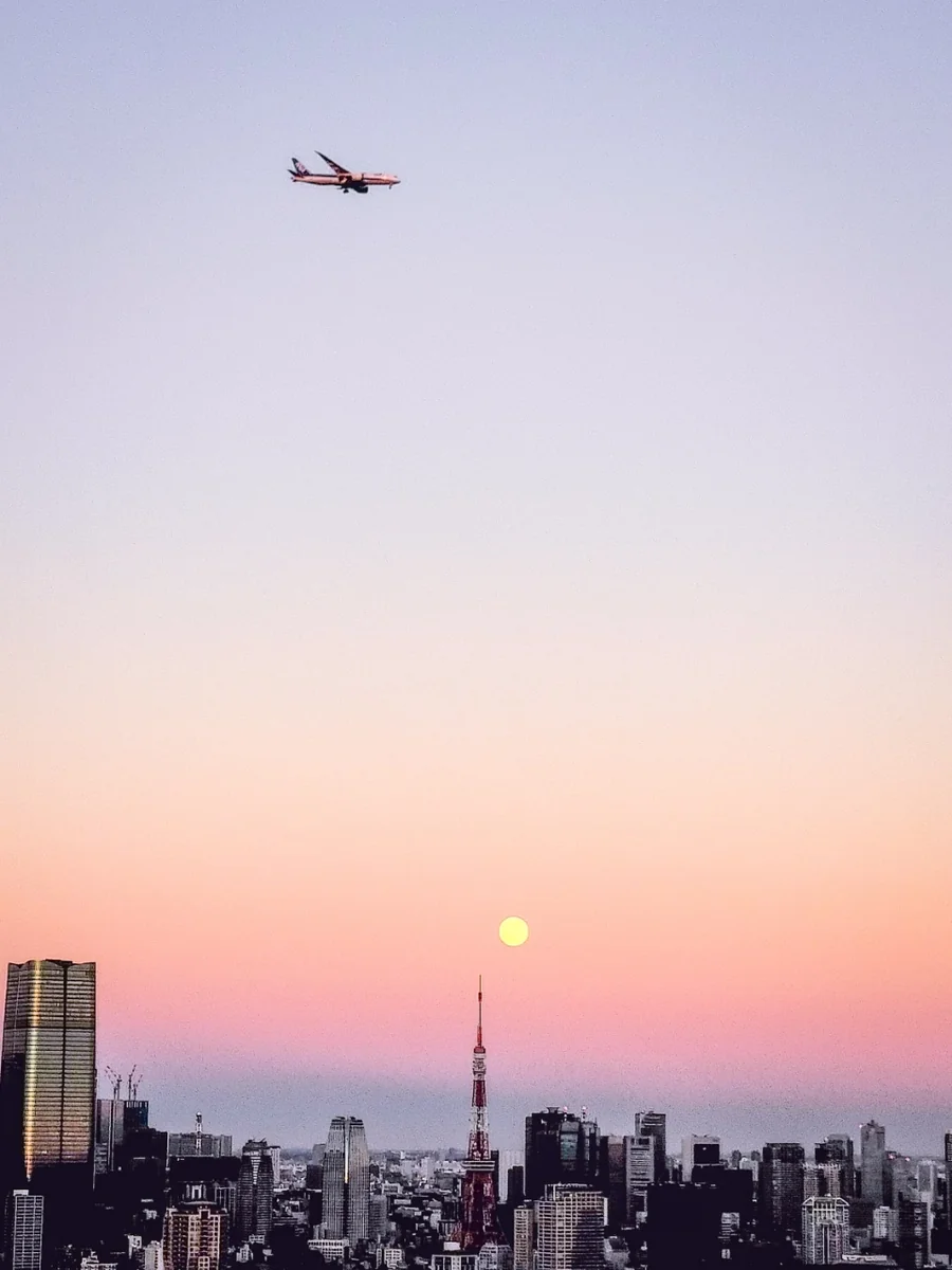 投稿写真：パール東京タワーと着陸機