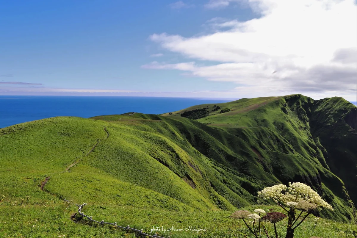 投稿写真：桃岩展望台トレッキングコース