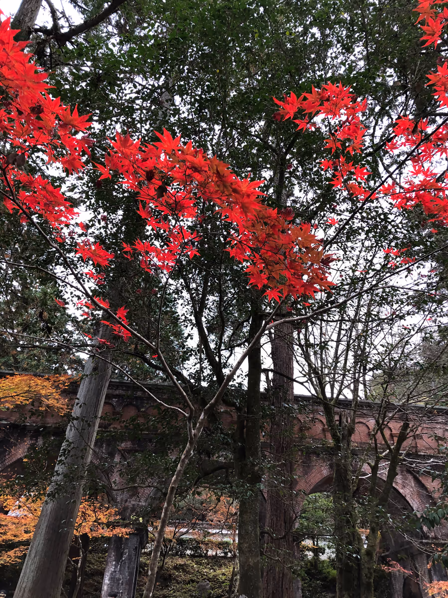 投稿写真：南禅寺水路閣