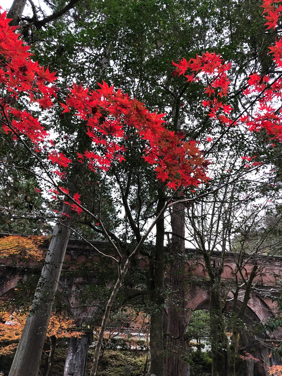 投稿写真：南禅寺水路閣