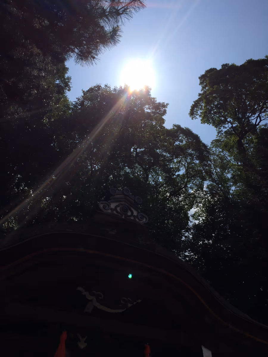 投稿写真：京都　下鴨神社