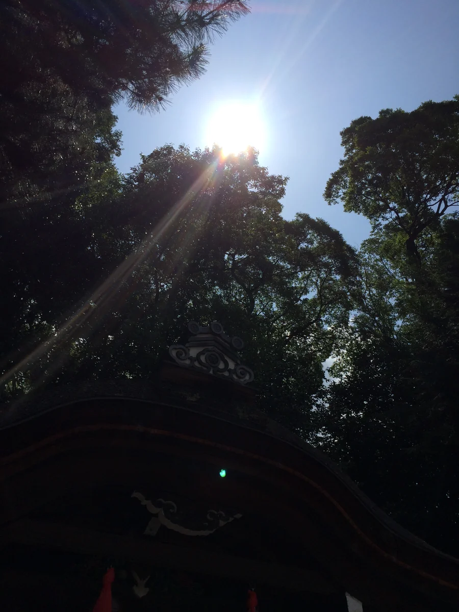 投稿写真：京都　下鴨神社