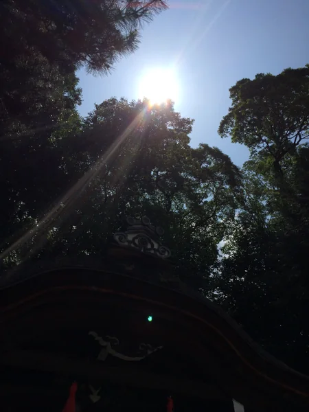 投稿：京都　下鴨神社