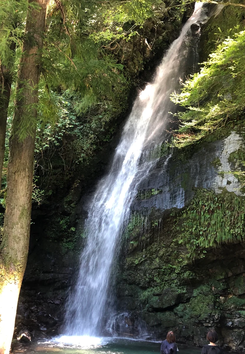 投稿写真：琵琶の滝