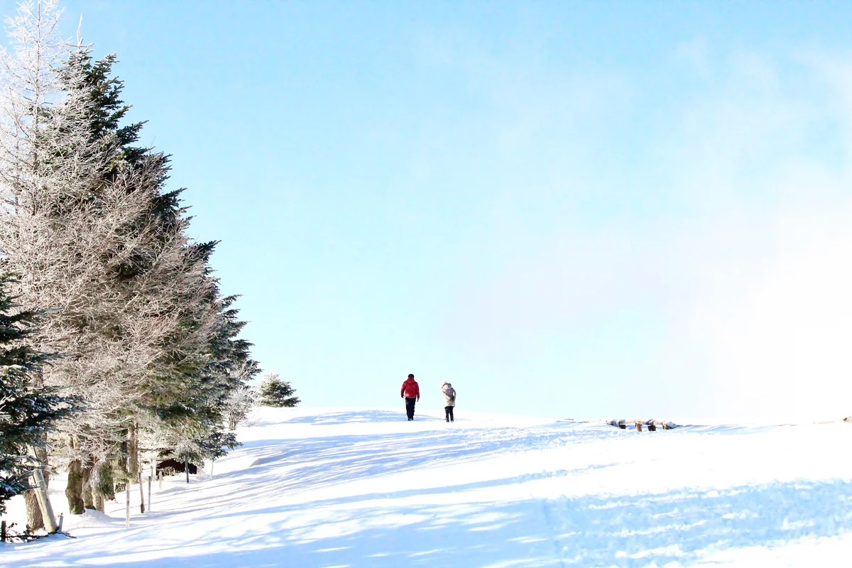 投稿写真：美ヶ原高原 2018冬