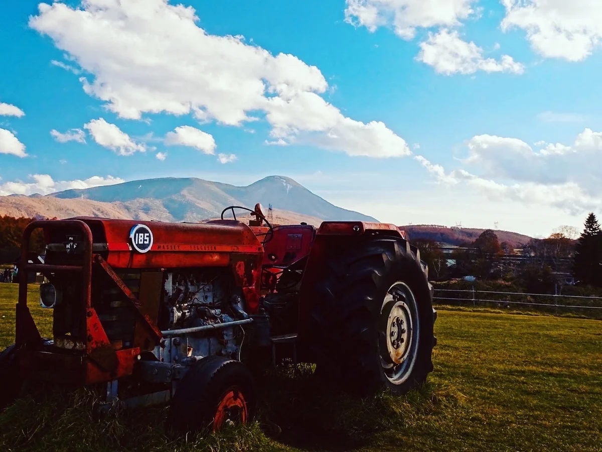 投稿写真：牧場からの蓼科山