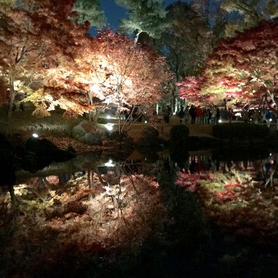  | 絶景事典