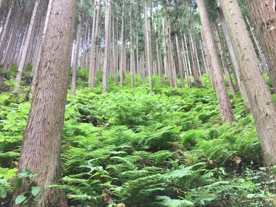  | 絶景事典