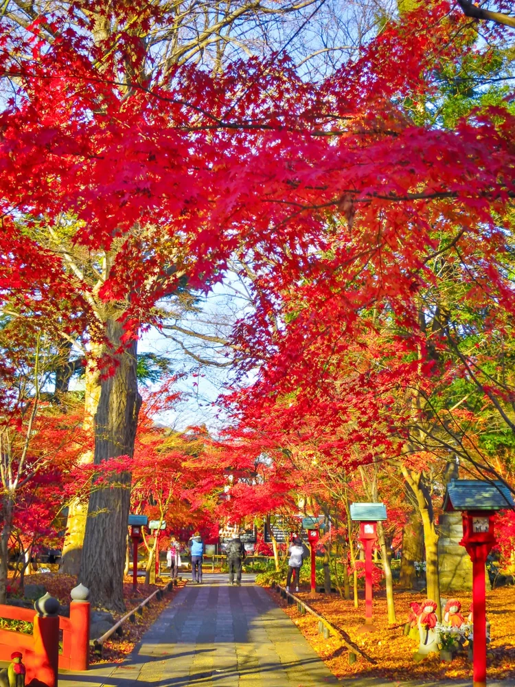 投稿写真：見納めの紅葉