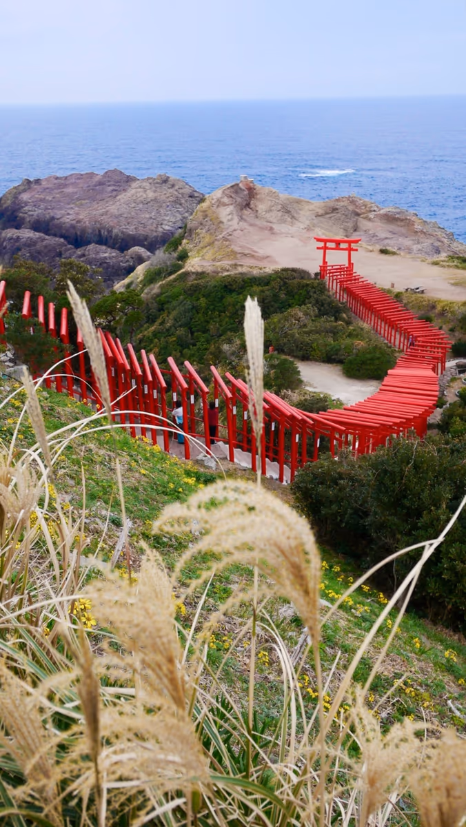投稿写真：日本海へ向かって伸びる鳥居の路
