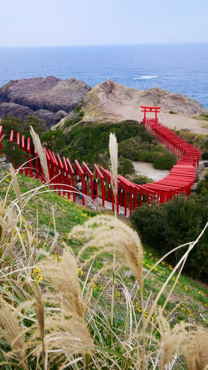 投稿写真：日本海へ向かって伸びる鳥居の路