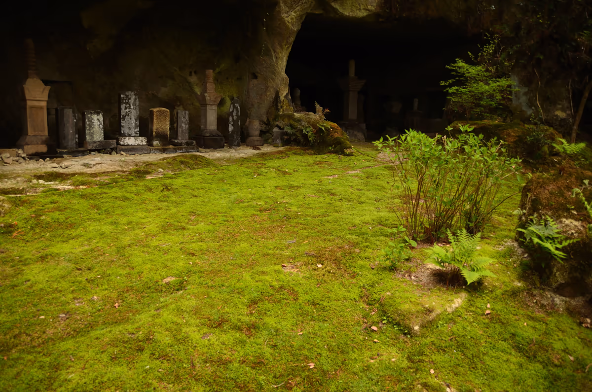 投稿写真：瑞巌寺　苔の庭