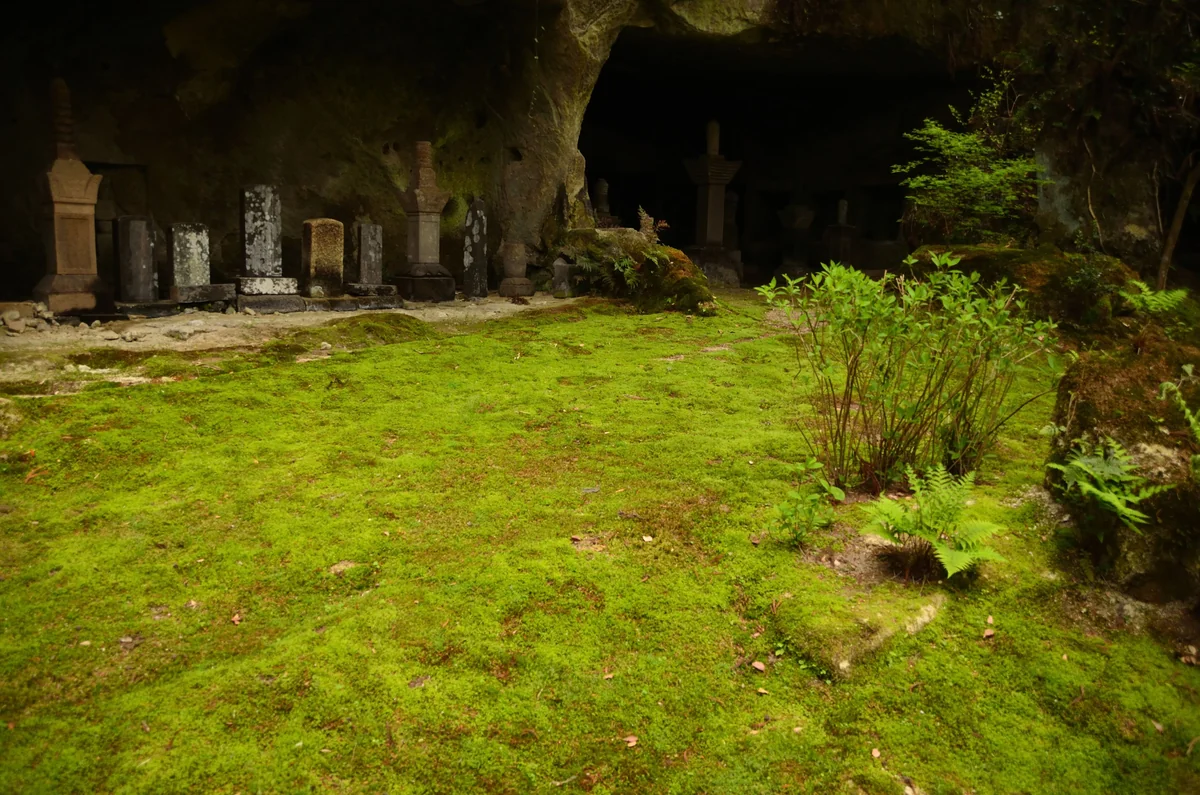 投稿写真：瑞巌寺　苔の庭