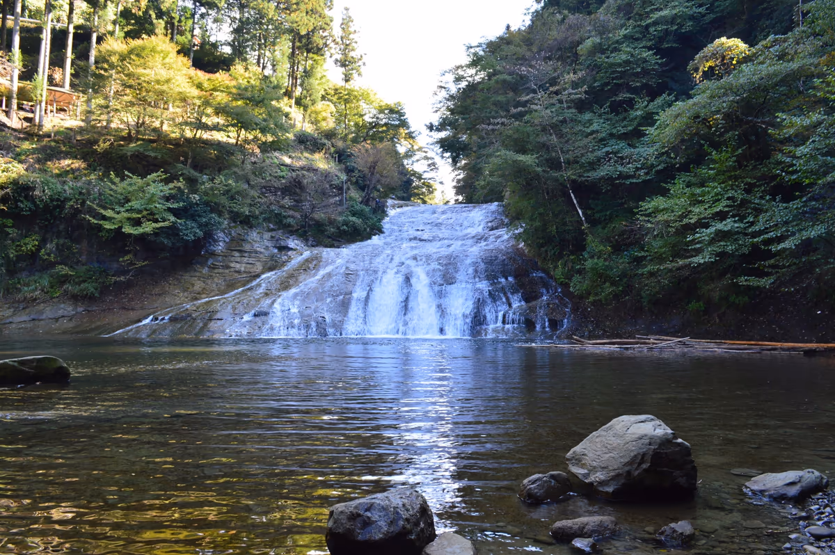 投稿写真：粟又の滝