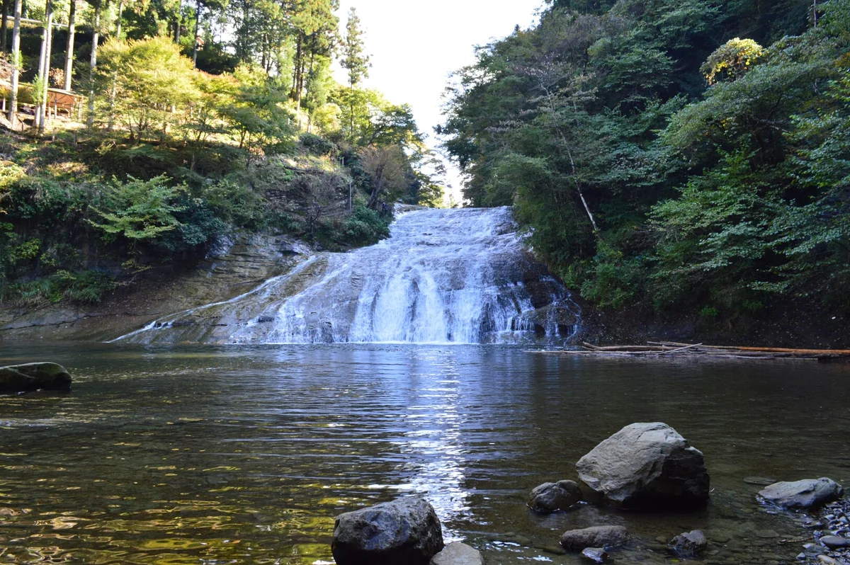 投稿写真：粟又の滝
